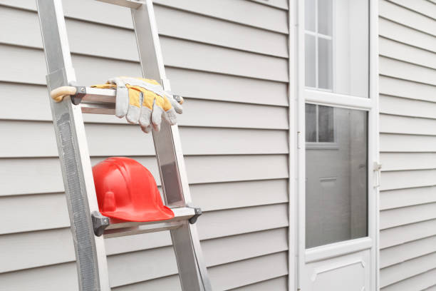 Best Stone Veneer Siding  in Mayville, MI