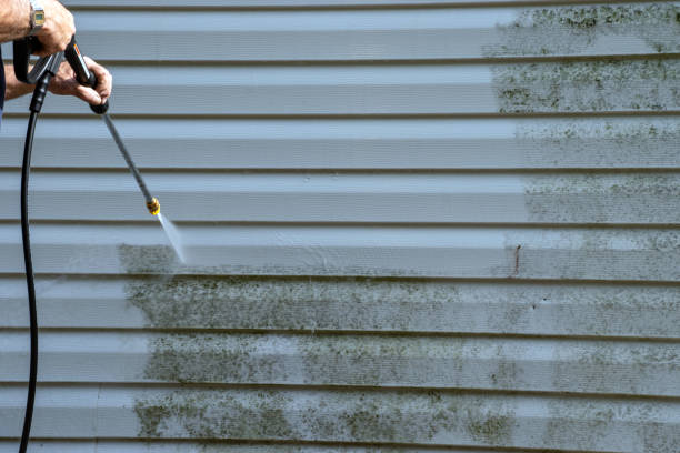 Best Siding for Commercial Buildings  in Mayville, MI