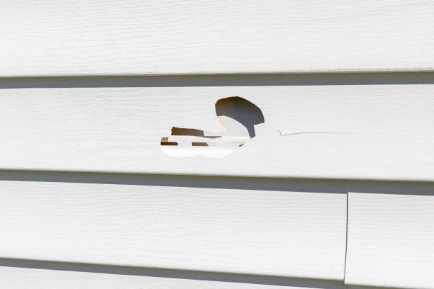 Best Fiber Cement Siding Installation  in Mayville, MI