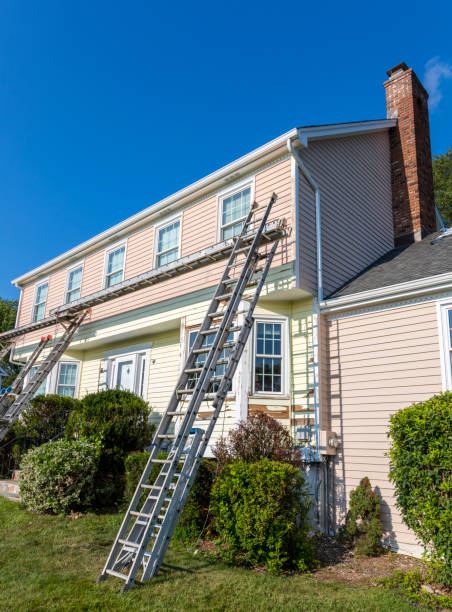 Best Stone Veneer Siding  in Mayville, MI