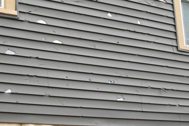  Mayville, MI Siding Installation Pros