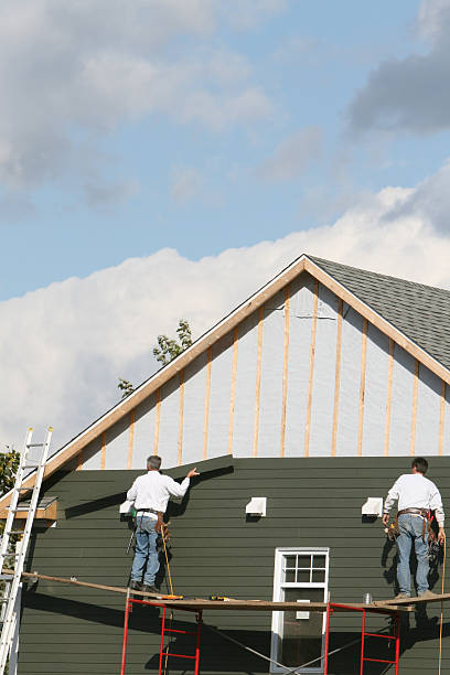 Best Storm Damage Siding Repair  in Mayville, MI