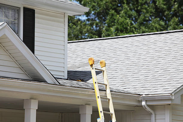Best Residential Vinyl Siding Installation  in Mayville, MI